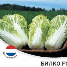 Семена Капуста пекинская Билко цена 30 руб. 10 шт.