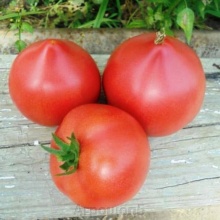 Семена томат Пинк Форвард цена 80 руб. 5 шт.