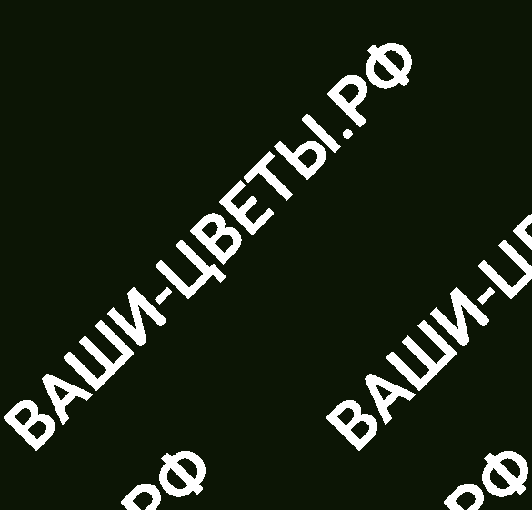 Петуния Cascadias Hint of Lime